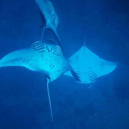 Mai Dive' Astrolabe Reef Resort Naqara ภายนอก รูปภาพ