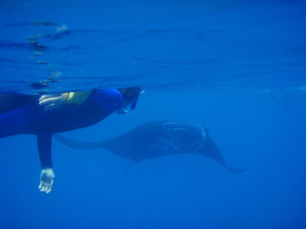 Mai Dive' Astrolabe Reef Resort Naqara ภายนอก รูปภาพ
