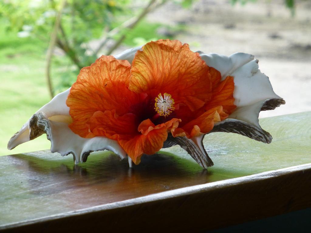 Mai Dive' Astrolabe Reef Resort Naqara ภายนอก รูปภาพ