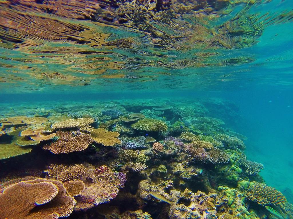 Mai Dive' Astrolabe Reef Resort Naqara ภายนอก รูปภาพ
