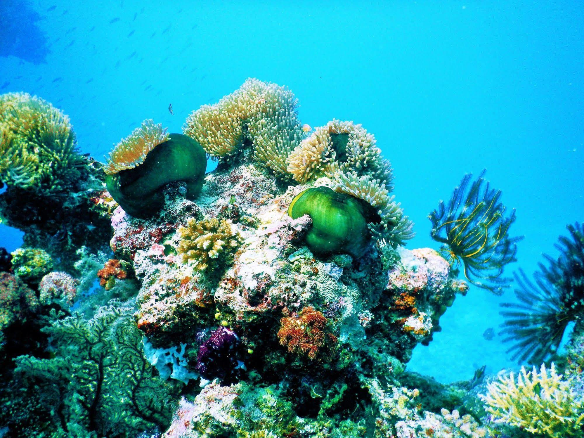 Mai Dive' Astrolabe Reef Resort Naqara ภายนอก รูปภาพ