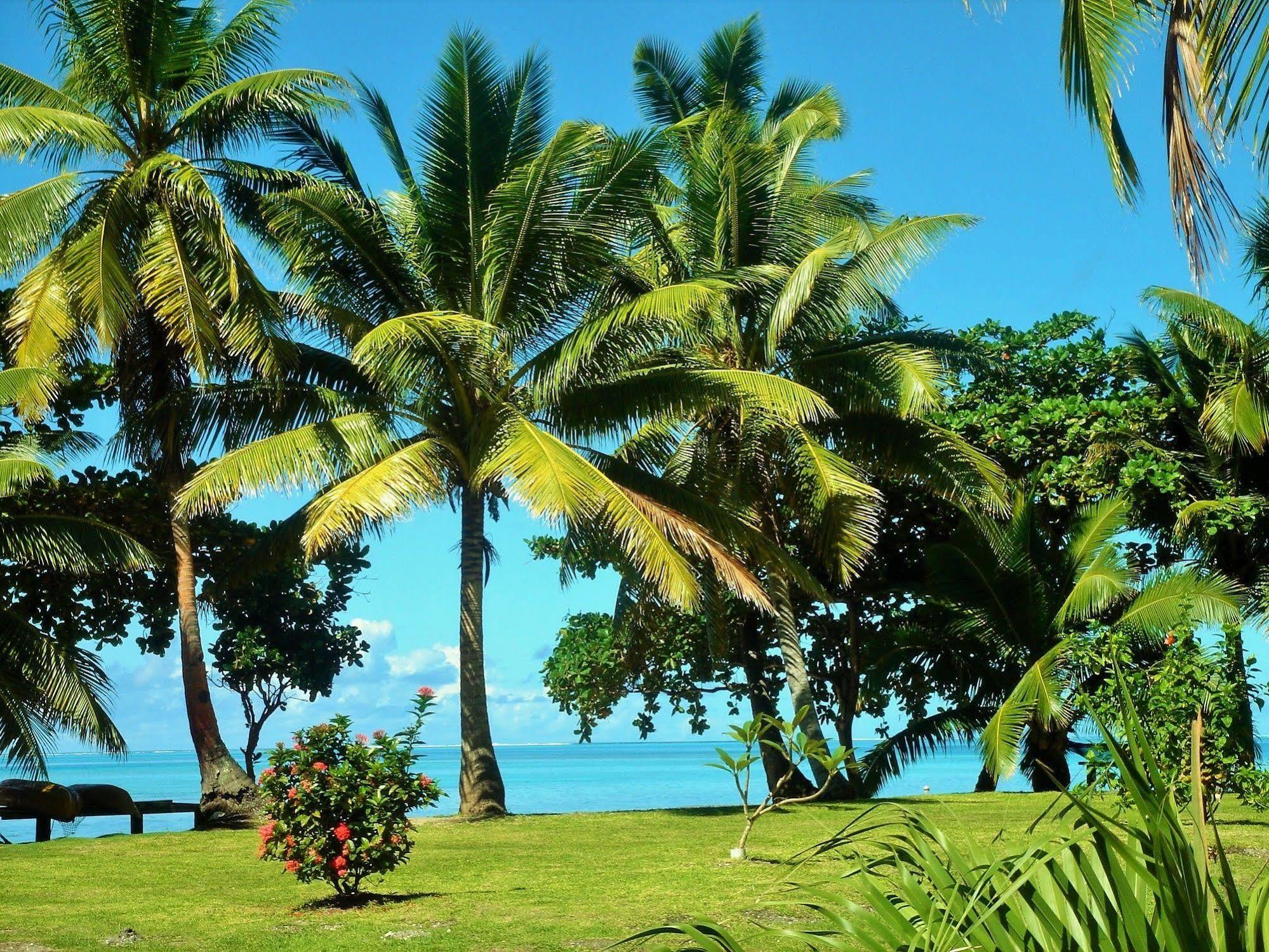Mai Dive' Astrolabe Reef Resort Naqara ภายนอก รูปภาพ